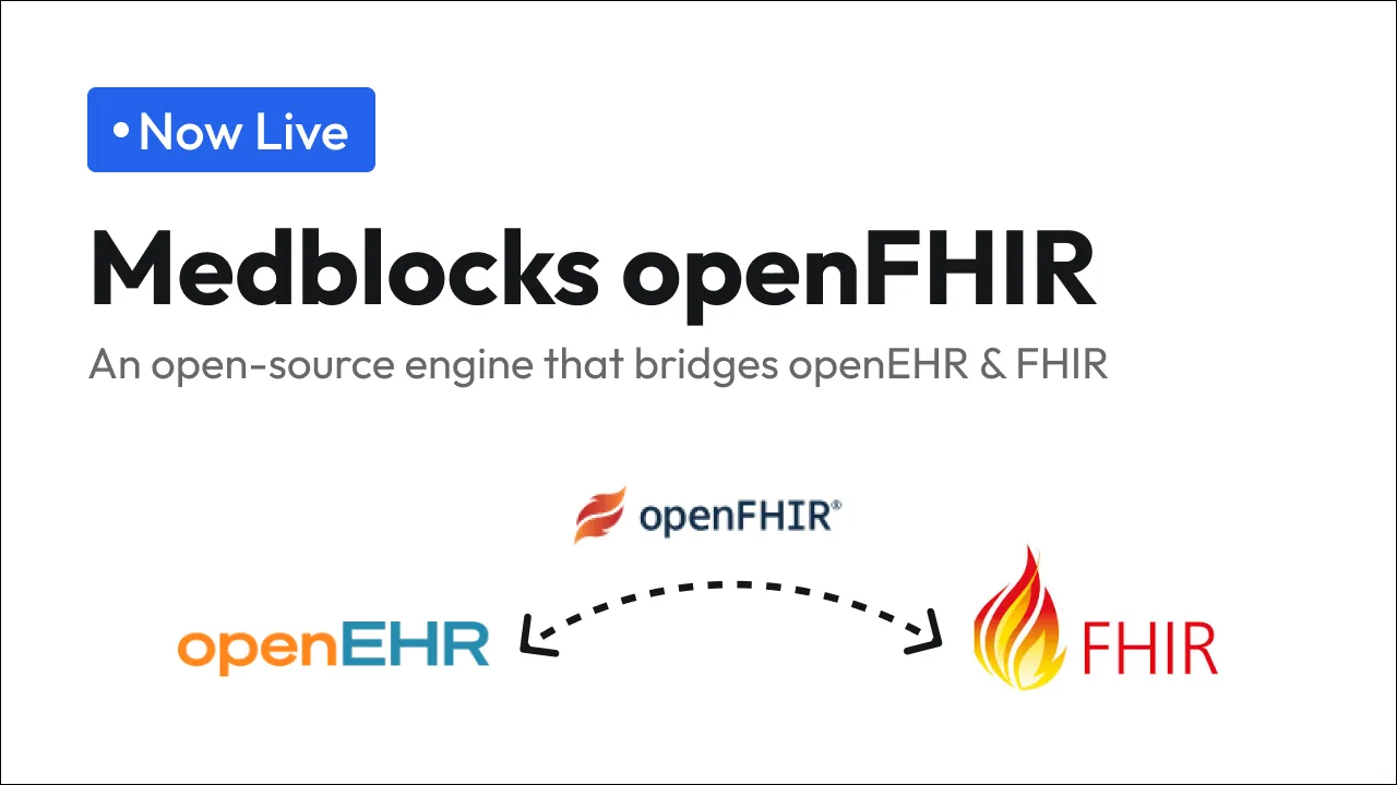 Medblocks Open Fhir@2x