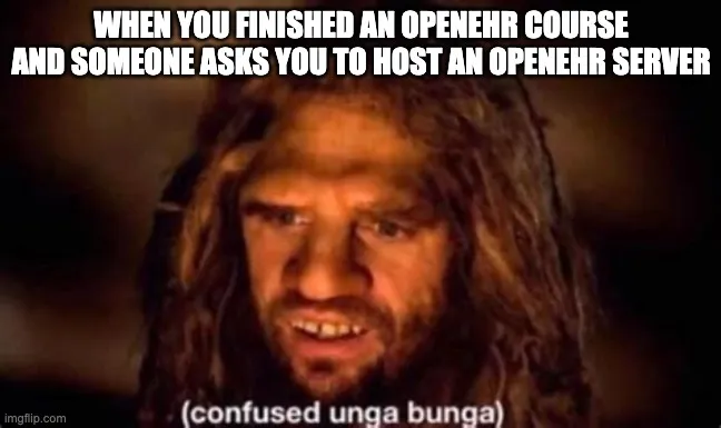 OpenEHR Course Meme