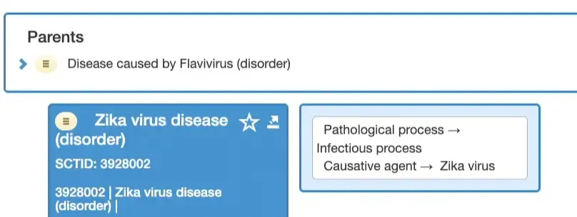 SNOMED CT Relationships
