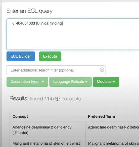 Executing Expression Constraint Language (ECL)
