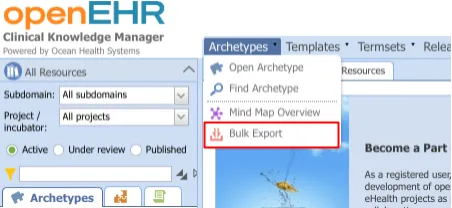 Bulk export on the CKM