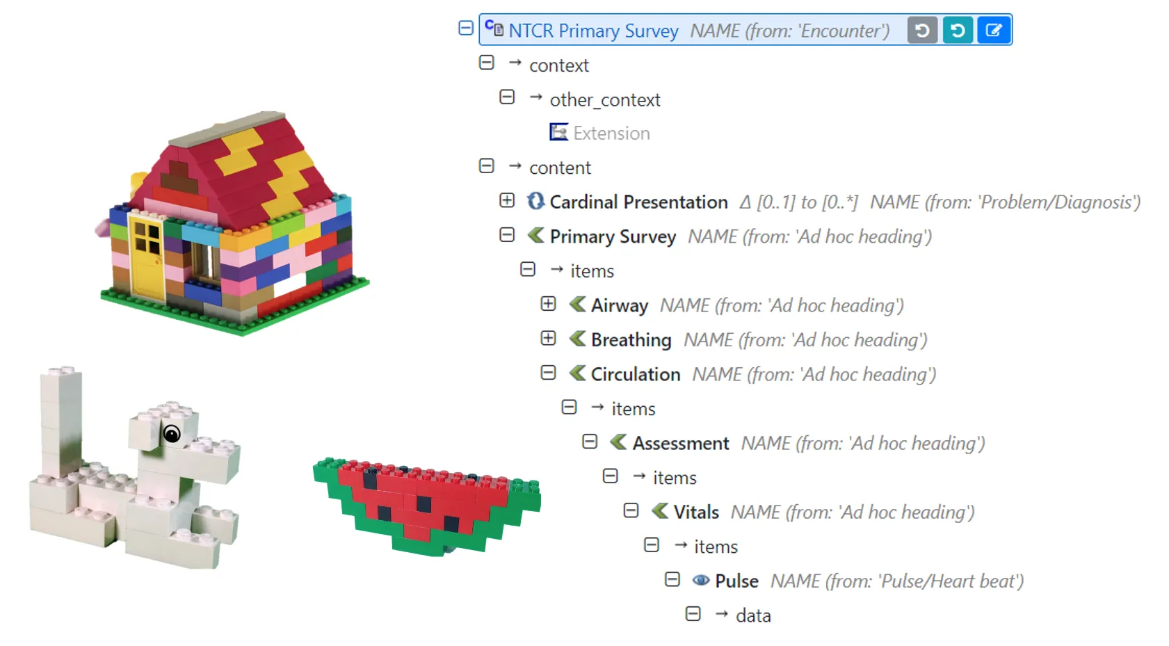 NTCR Primary Survey