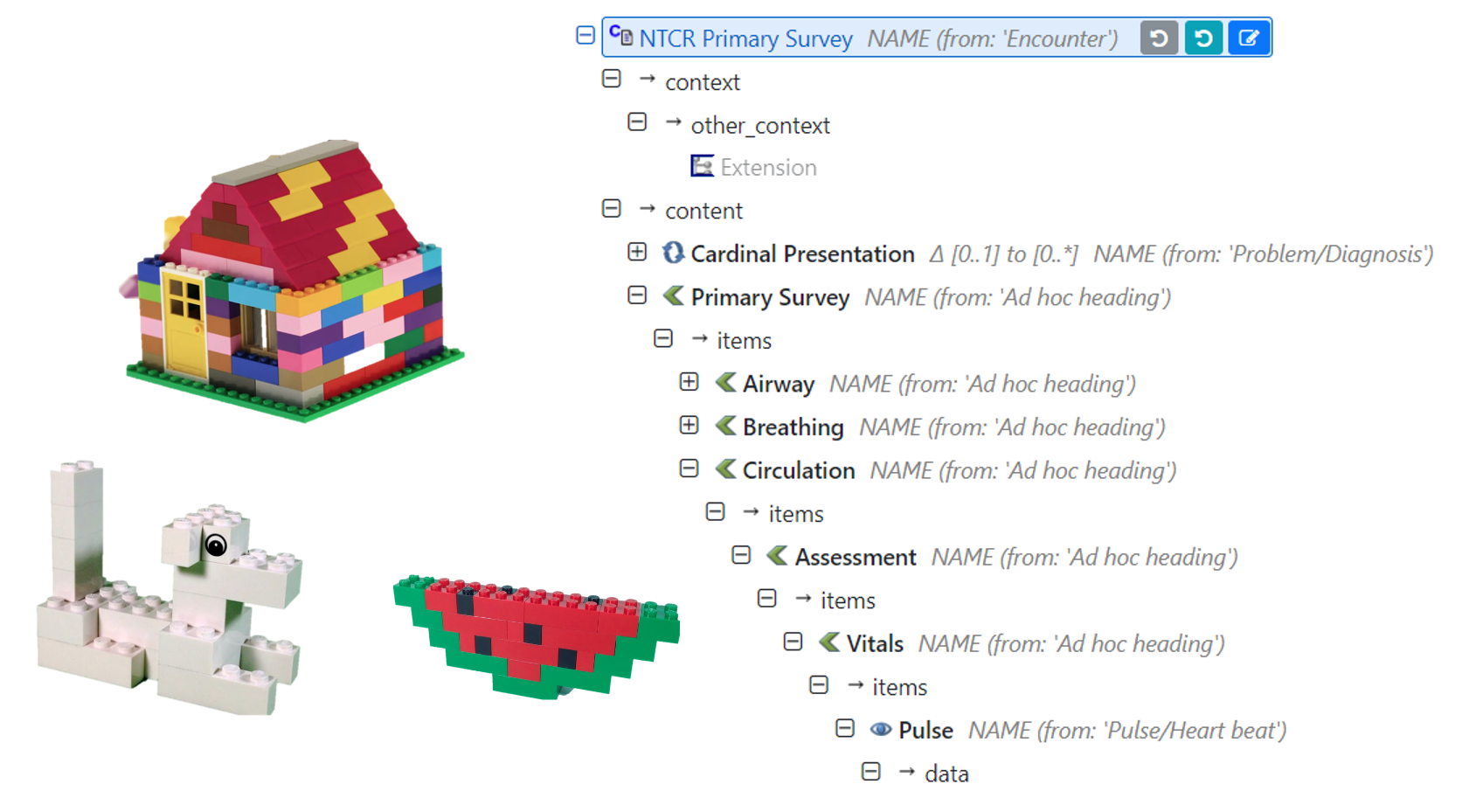NTCR Primary Survey