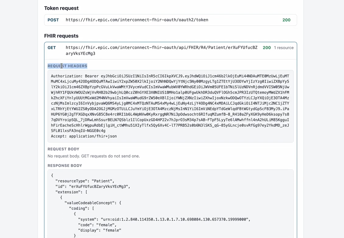 CareSummary FHIR Preview Section