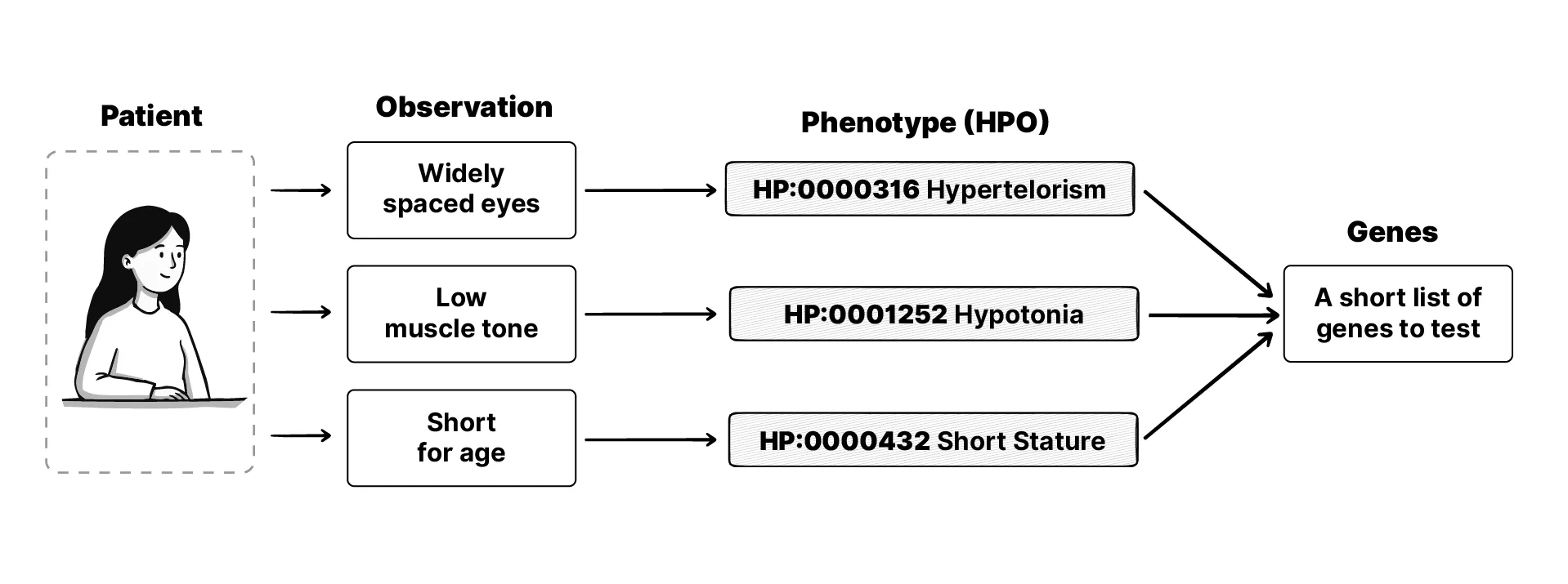 phenotypes point to diseases, and then to genes that need to be screened