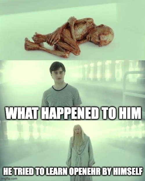 openEHR Meme