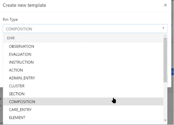 Rm types available while creating a new template